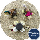 8138M - Mini Cowry Turtle Magnets